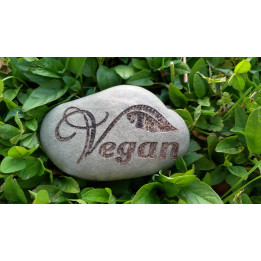 Vegan - simbol na sivozelenem kamnu I