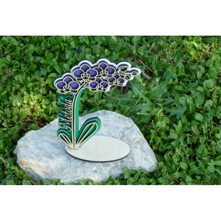 Fiore con nome - orchidea